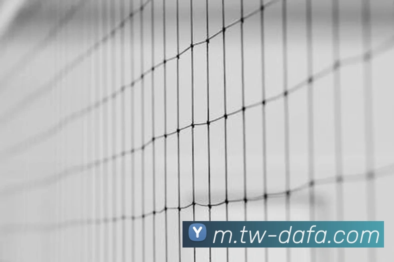 大发彩票APP 高清赛事图